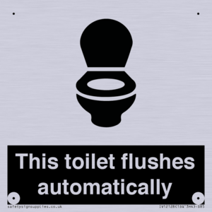 This toilet flushes automatically